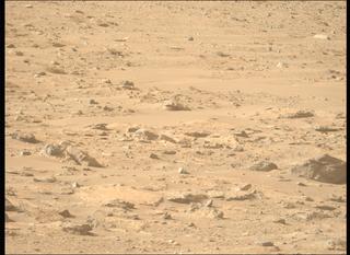 View image taken on Mars, Mars Perseverance Sol 1239: Left Mastcam-Z Camera