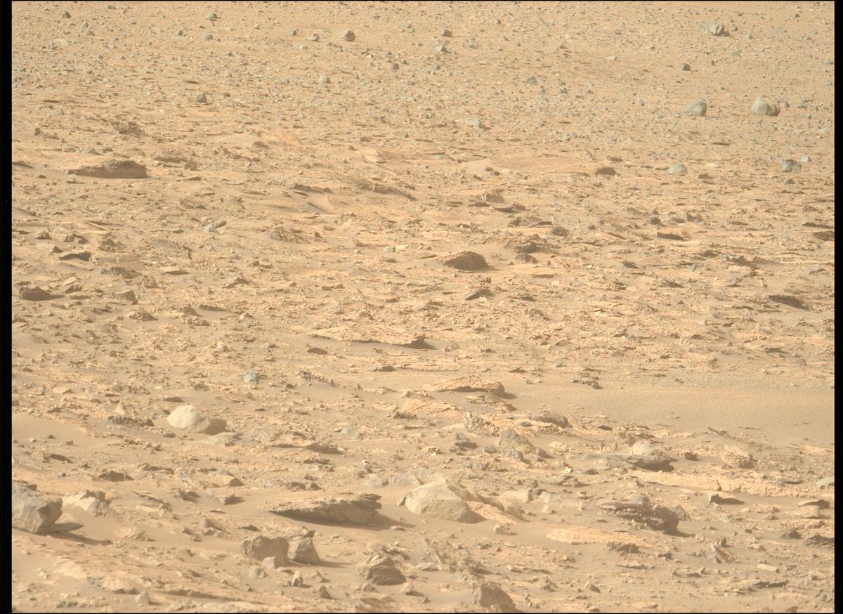 This image was taken by MCZ_LEFT onboard NASA's Mars rover Perseverance on Sol 1239