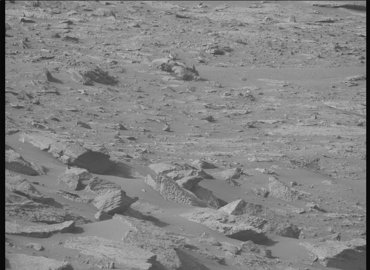 This image was taken by MCZ_LEFT onboard NASA's Mars rover Perseverance on Sol 1239