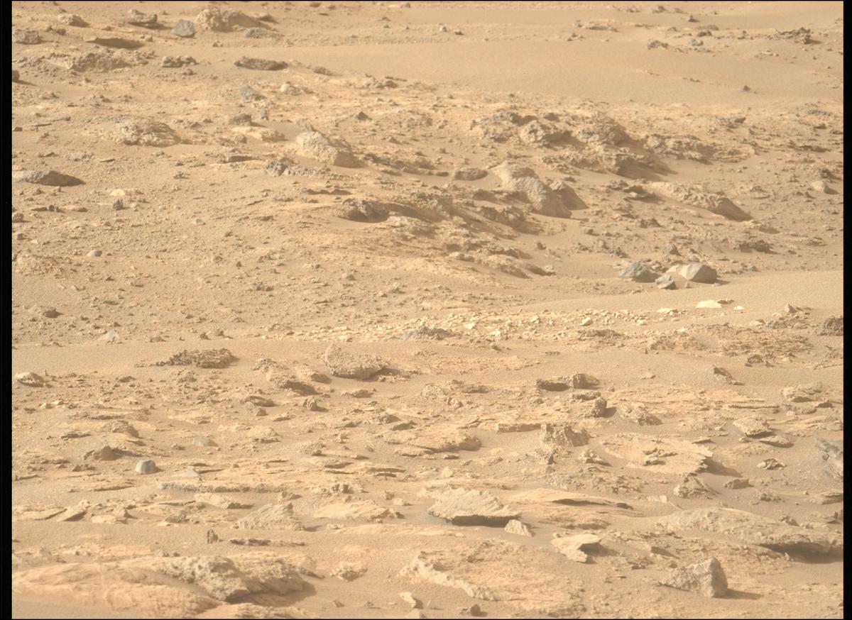 This image was taken by MCZ_LEFT onboard NASA's Mars rover Perseverance on Sol 1239