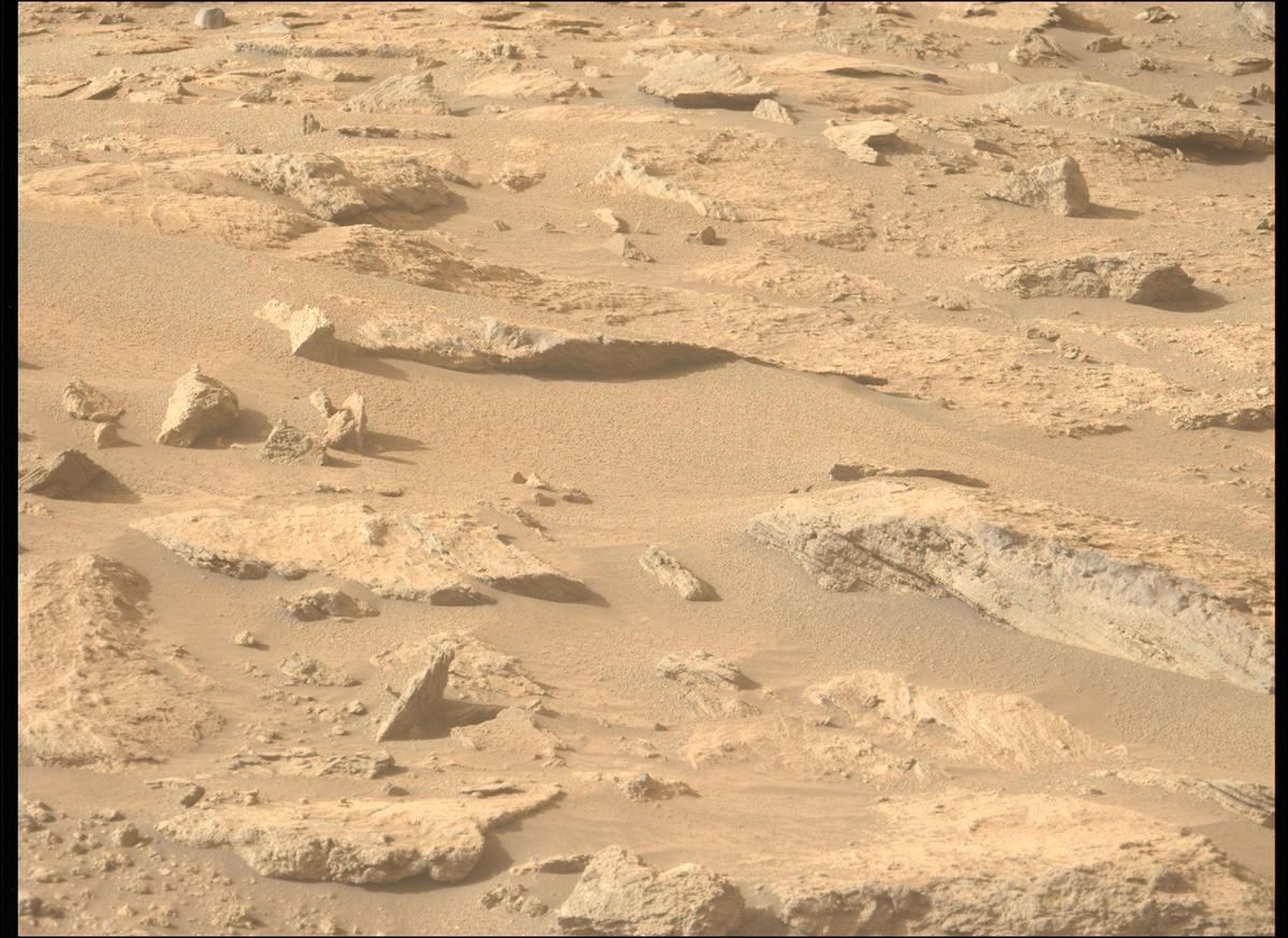 This image was taken by MCZ_LEFT onboard NASA's Mars rover Perseverance on Sol 1239