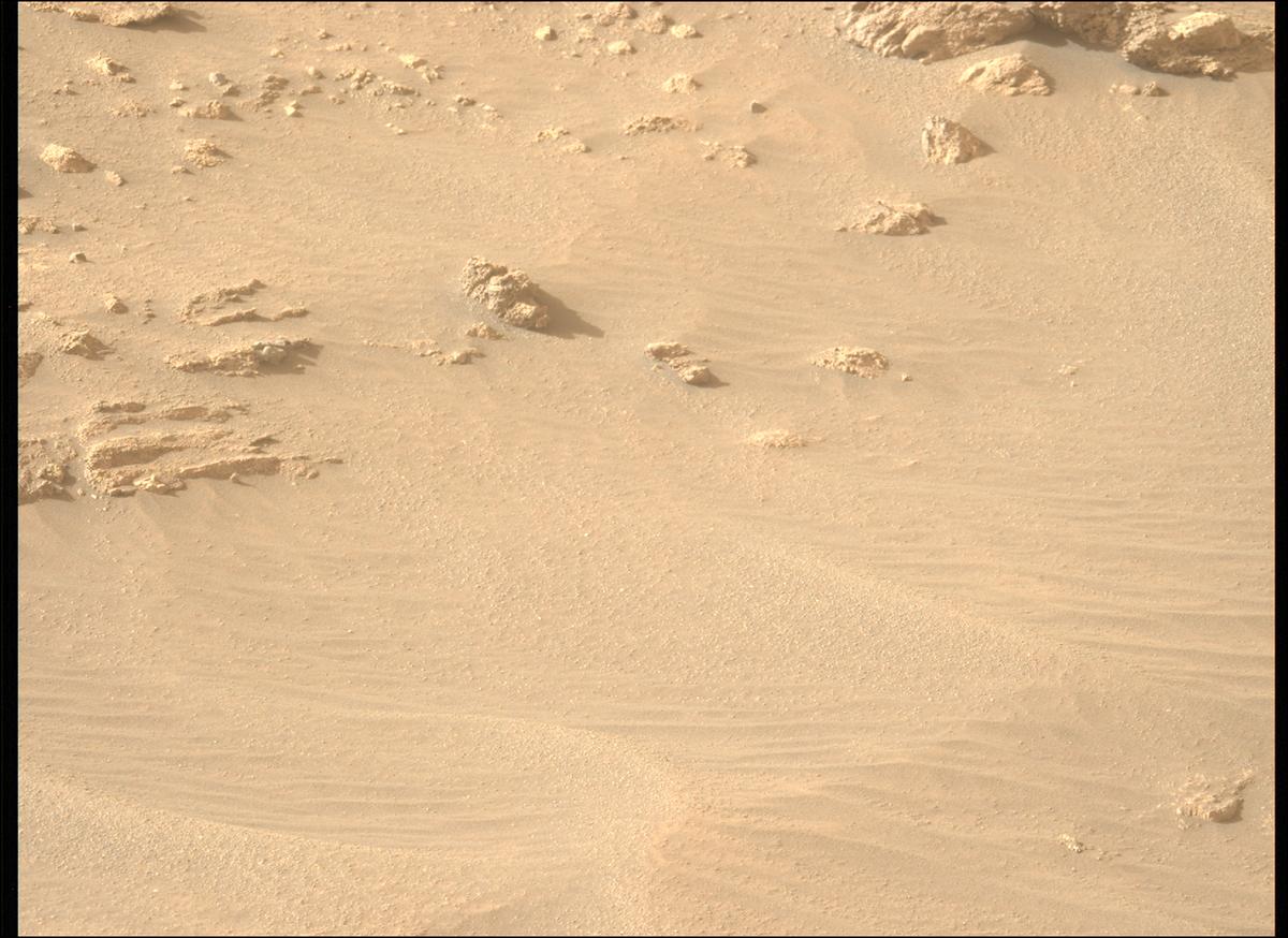 This image was taken by MCZ_LEFT onboard NASA's Mars rover Perseverance on Sol 1239