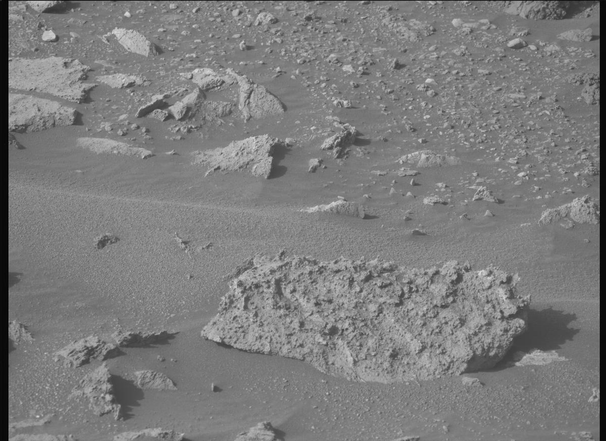 This image was taken by MCZ_LEFT onboard NASA's Mars rover Perseverance on Sol 1239