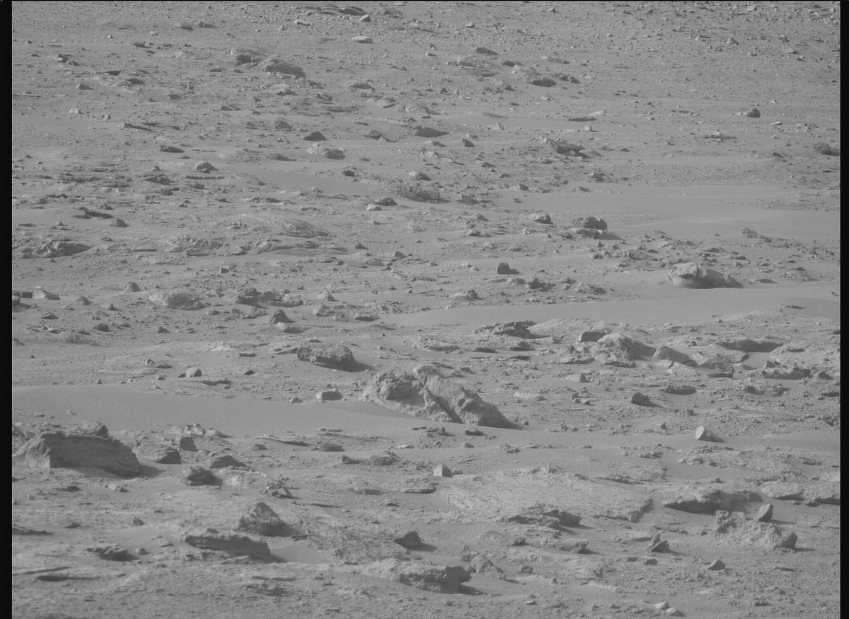 This image was taken by MCZ_RIGHT onboard NASA's Mars rover Perseverance on Sol 1239