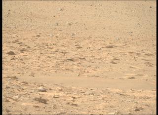 View image taken on Mars, Mars Perseverance Sol 1239: Right Mastcam-Z Camera