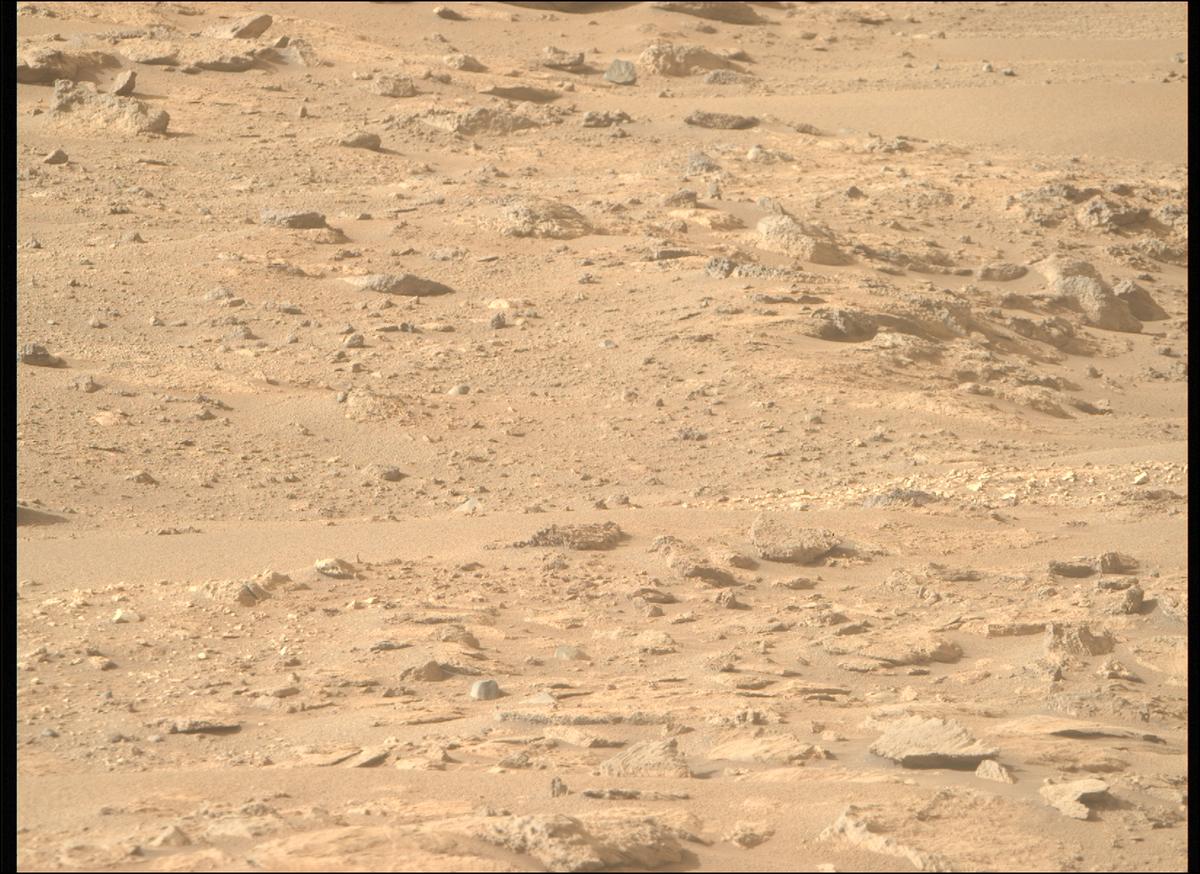 This image was taken by MCZ_RIGHT onboard NASA's Mars rover Perseverance on Sol 1239
