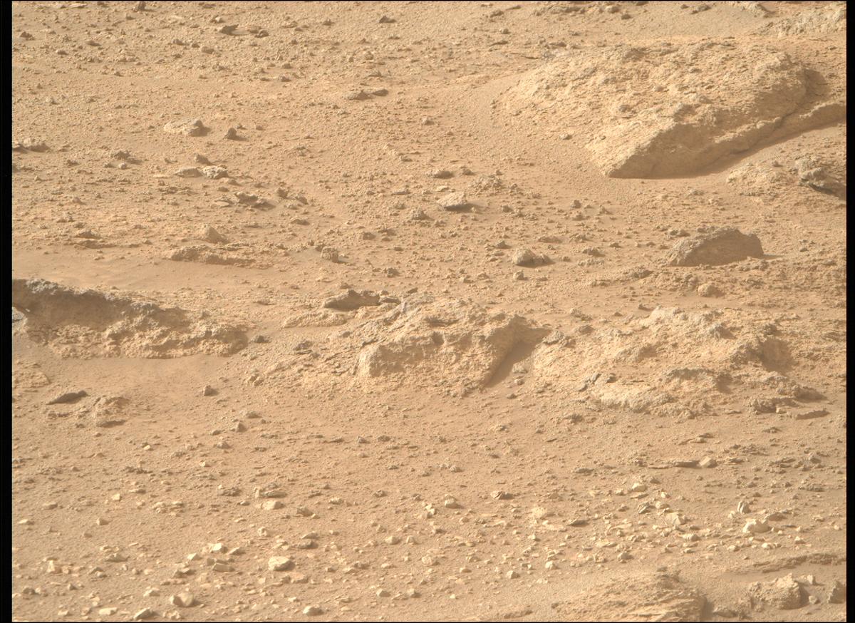 This image was taken by MCZ_RIGHT onboard NASA's Mars rover Perseverance on Sol 1239