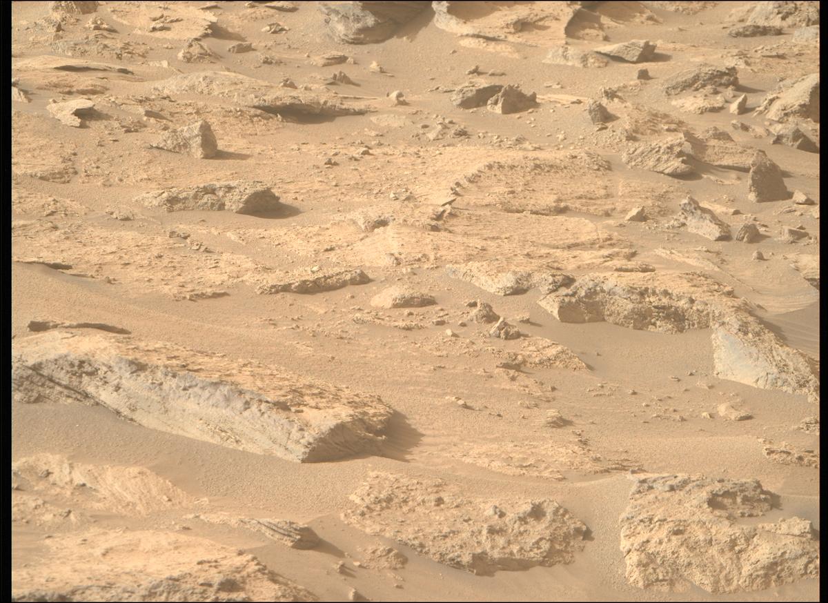 This image was taken by MCZ_RIGHT onboard NASA's Mars rover Perseverance on Sol 1239