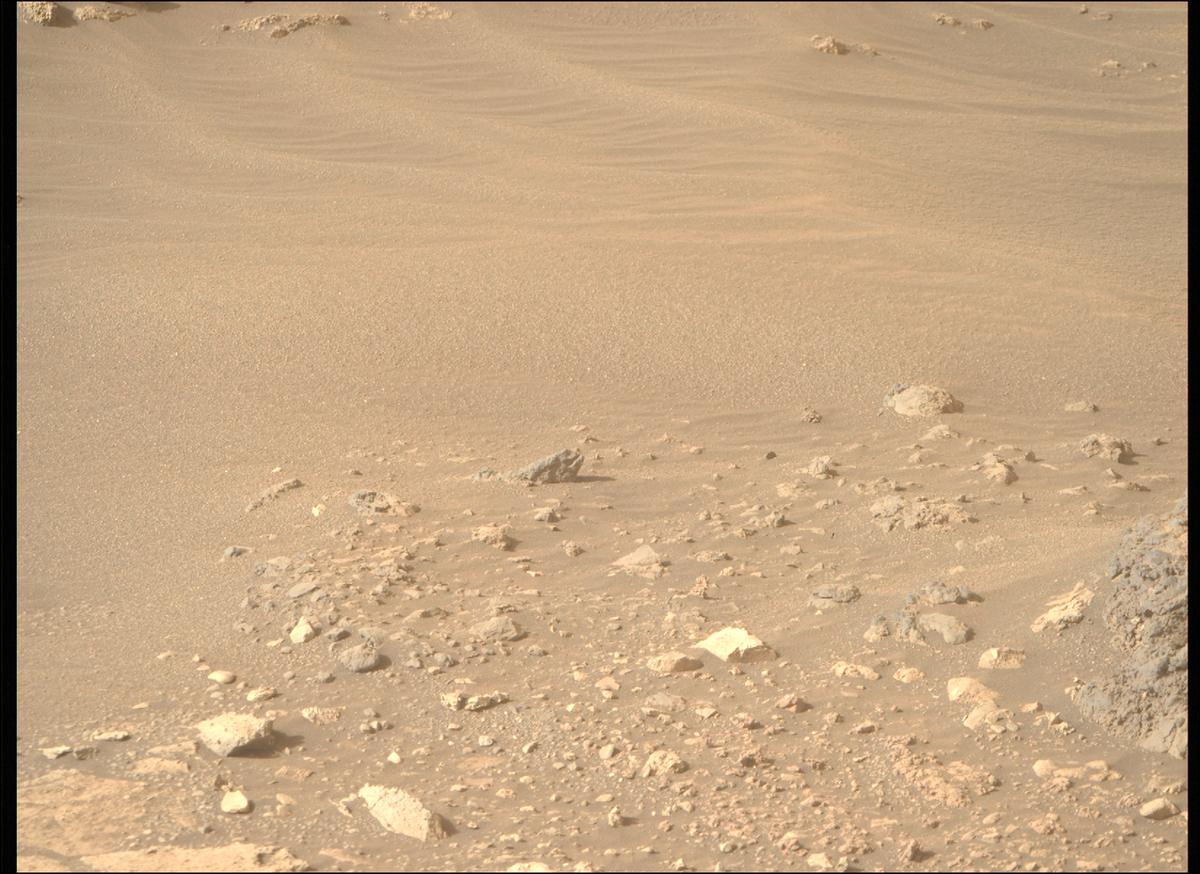 This image was taken by MCZ_RIGHT onboard NASA's Mars rover Perseverance on Sol 1239