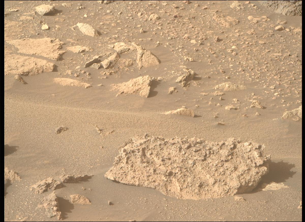 This image was taken by MCZ_RIGHT onboard NASA's Mars rover Perseverance on Sol 1239