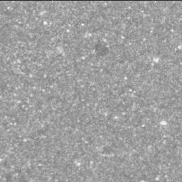 View image taken on Mars, Mars Perseverance Sol 1239: Right Mastcam-Z Camera