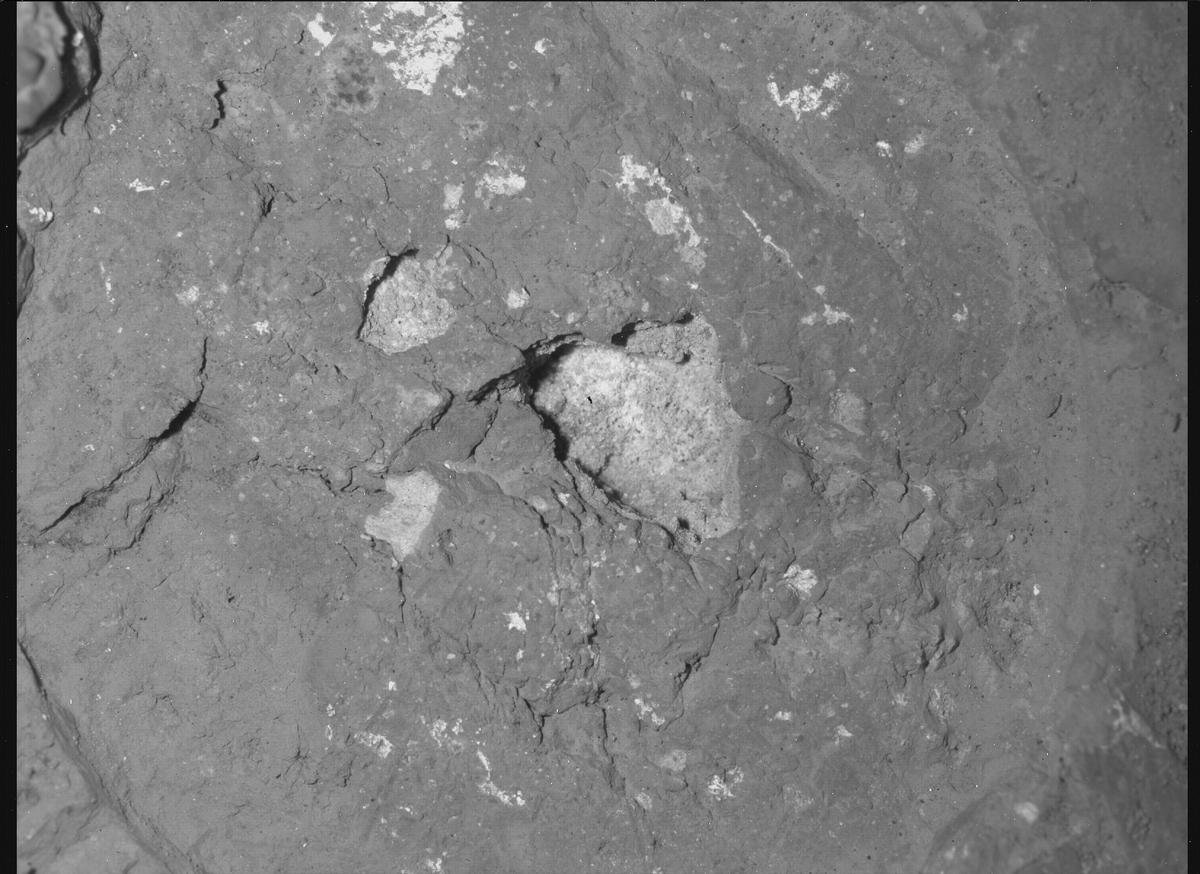 This image was taken by SHERLOC_WATSON onboard NASA's Mars rover Perseverance on Sol 1240