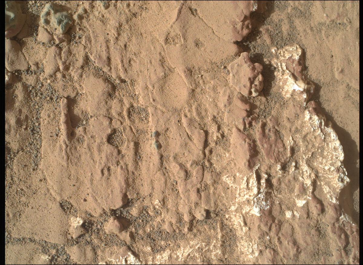 This image was taken by SHERLOC_WATSON onboard NASA's Mars rover Perseverance on Sol 1240