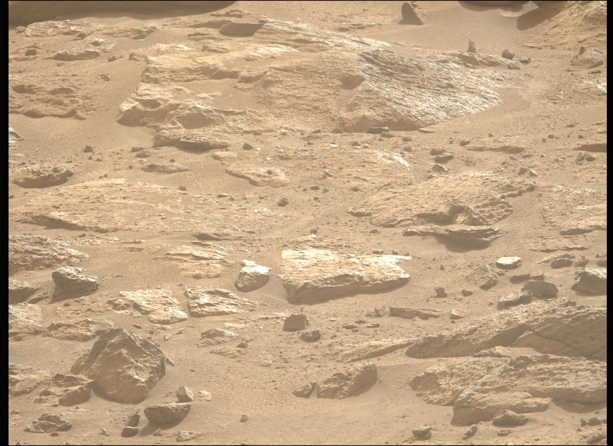 This image was taken by MCZ_LEFT onboard NASA's Mars rover Perseverance on Sol 1240