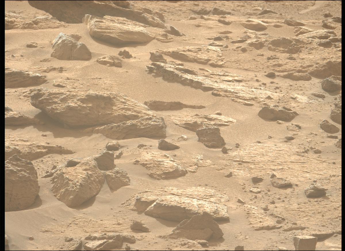 This image was taken by MCZ_LEFT onboard NASA's Mars rover Perseverance on Sol 1240