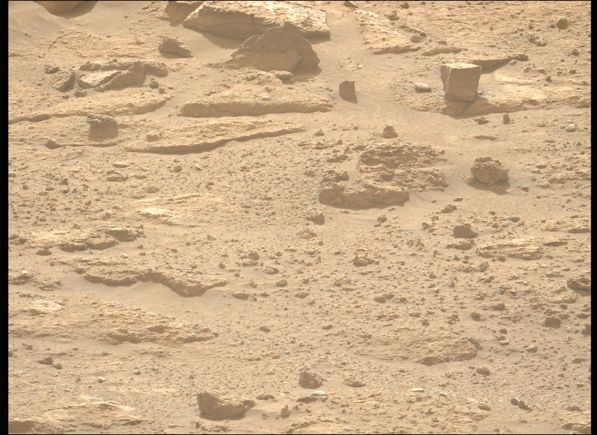 This image was taken by MCZ_LEFT onboard NASA's Mars rover Perseverance on Sol 1240