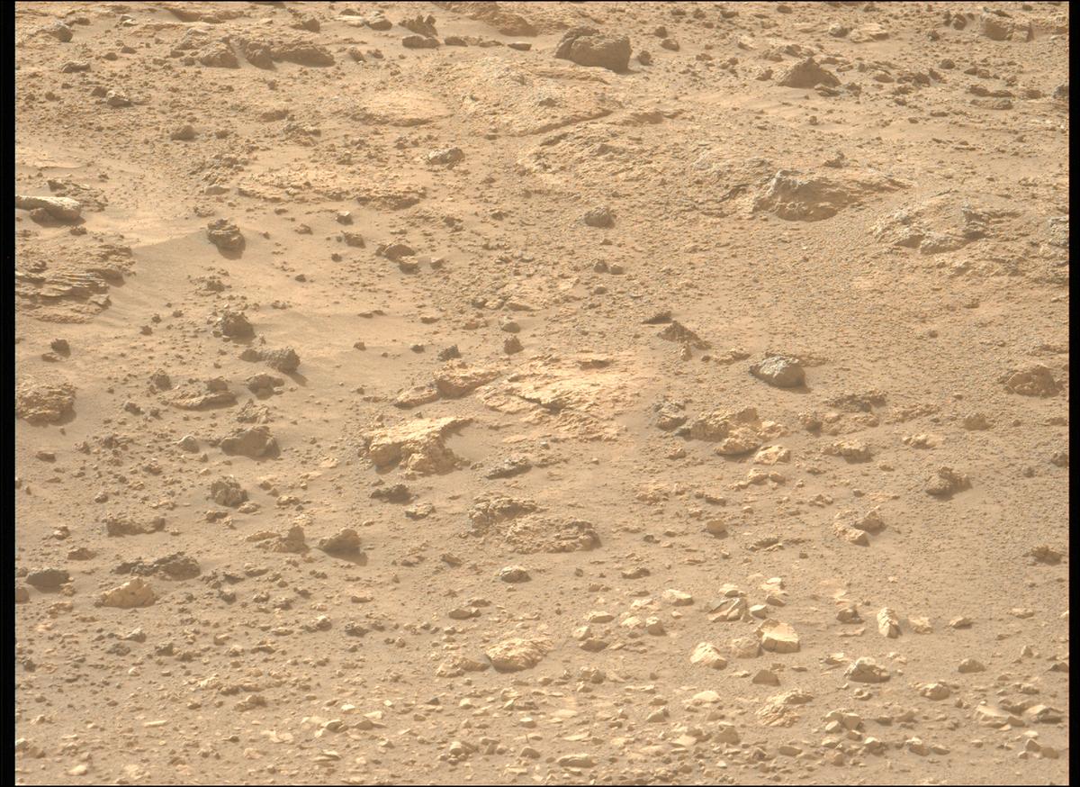 This image was taken by MCZ_LEFT onboard NASA's Mars rover Perseverance on Sol 1240