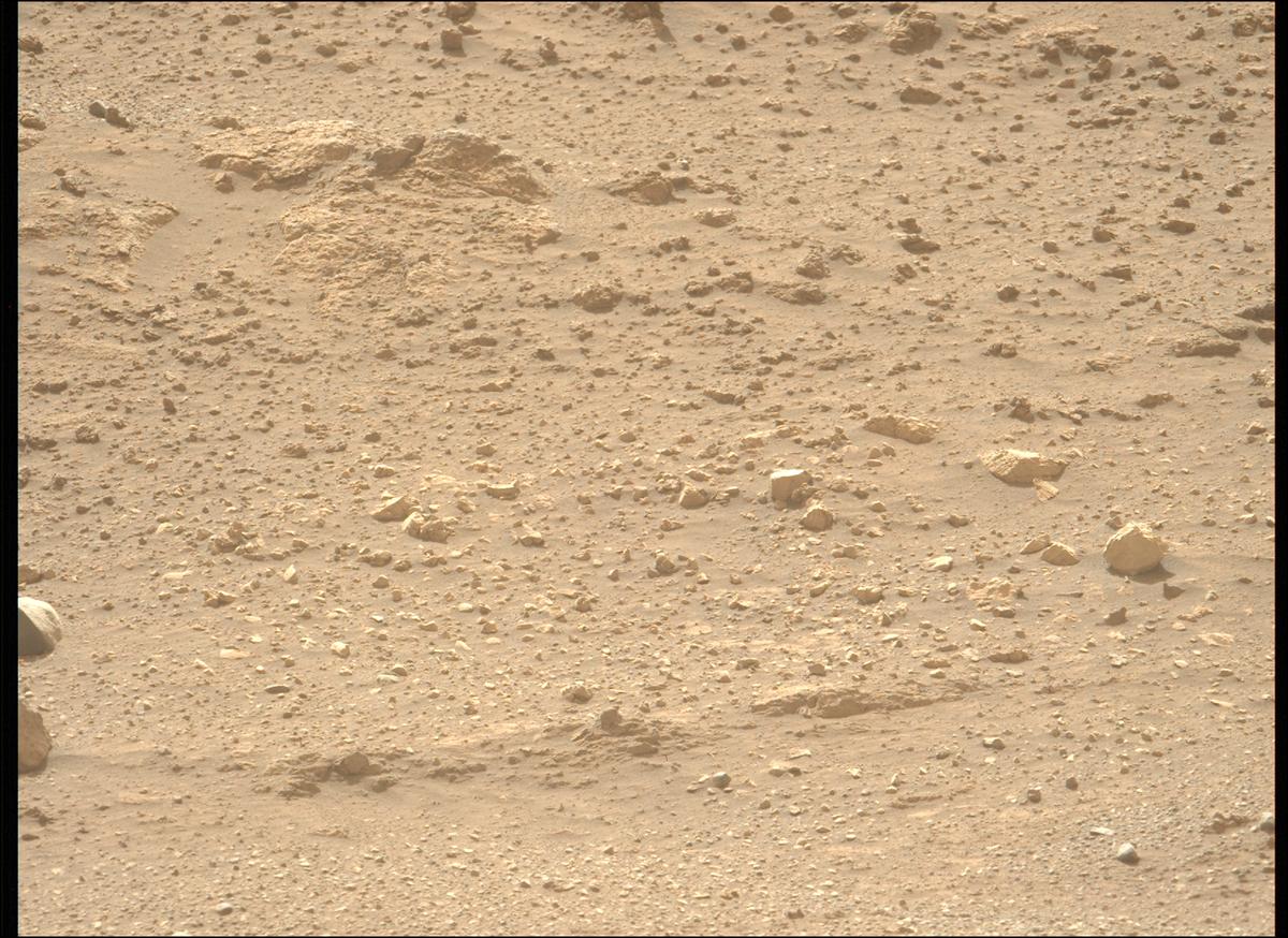 This image was taken by MCZ_LEFT onboard NASA's Mars rover Perseverance on Sol 1240