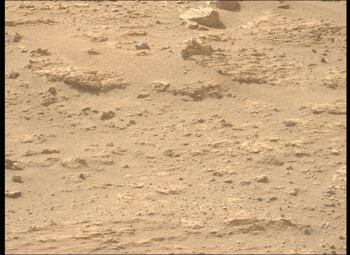 This image was taken by MCZ_LEFT onboard NASA's Mars rover Perseverance on Sol 1240