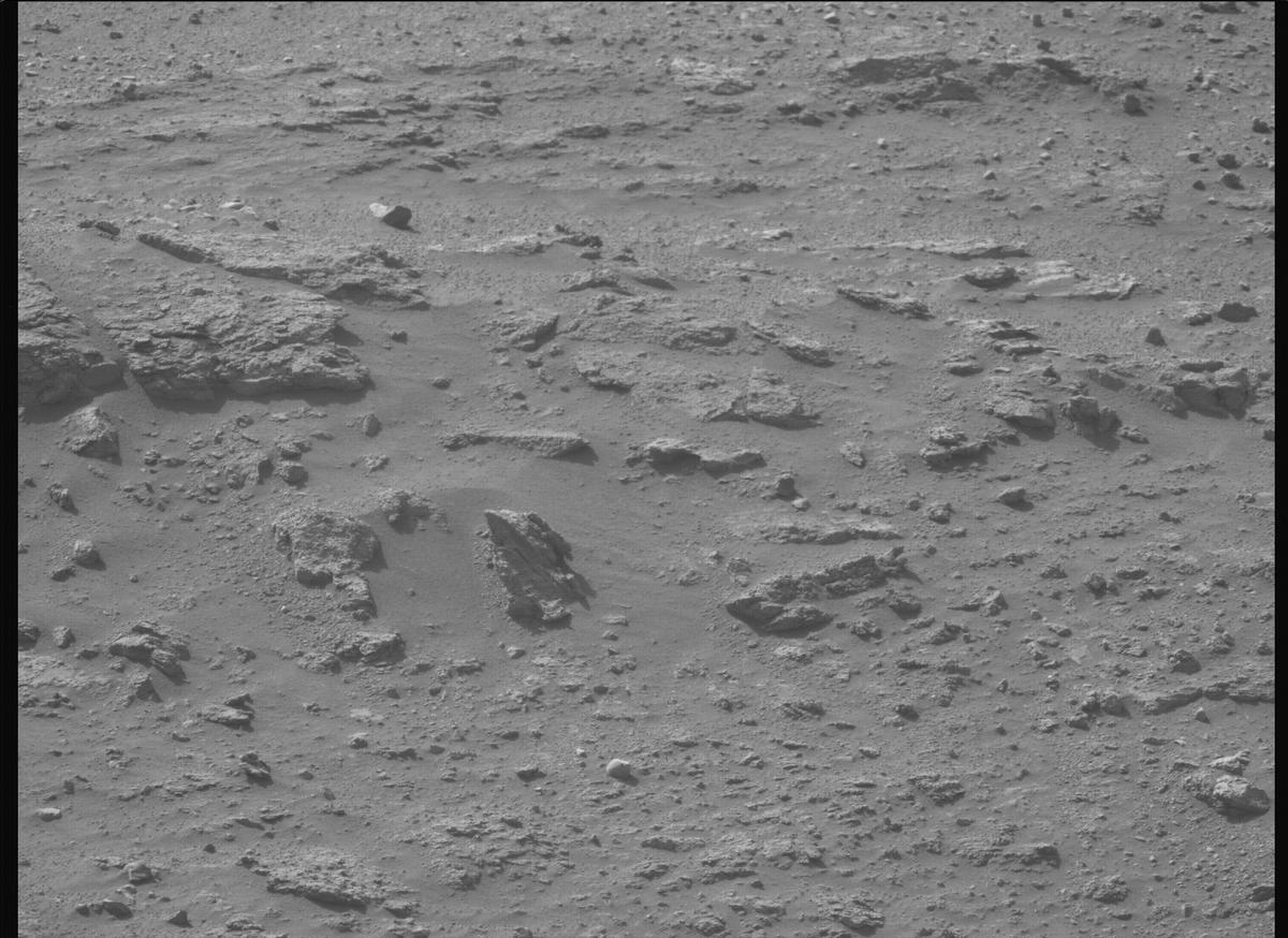 This image was taken by MCZ_LEFT onboard NASA's Mars rover Perseverance on Sol 1240