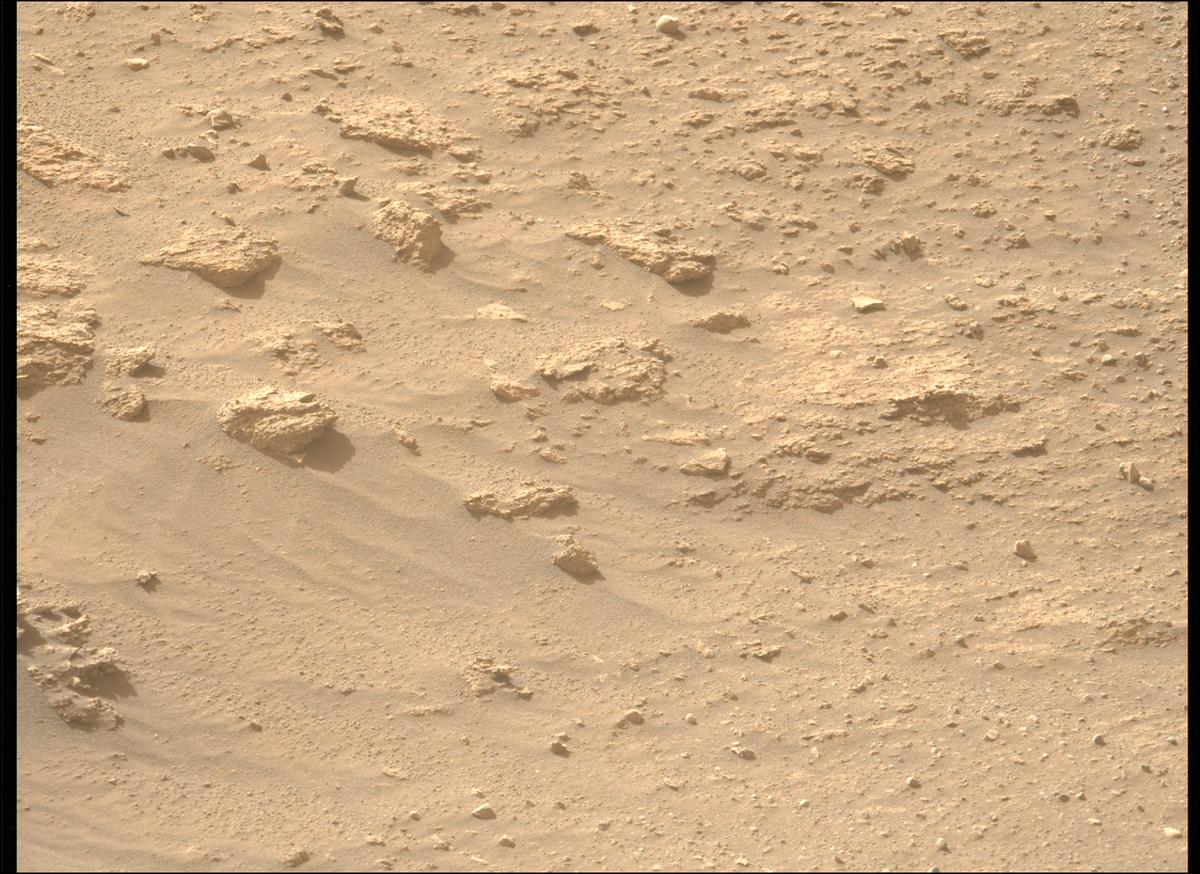 This image was taken by MCZ_LEFT onboard NASA's Mars rover Perseverance on Sol 1240