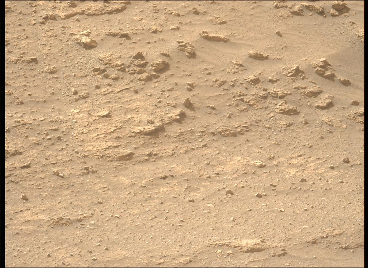 This image was taken by MCZ_LEFT onboard NASA's Mars rover Perseverance on Sol 1240