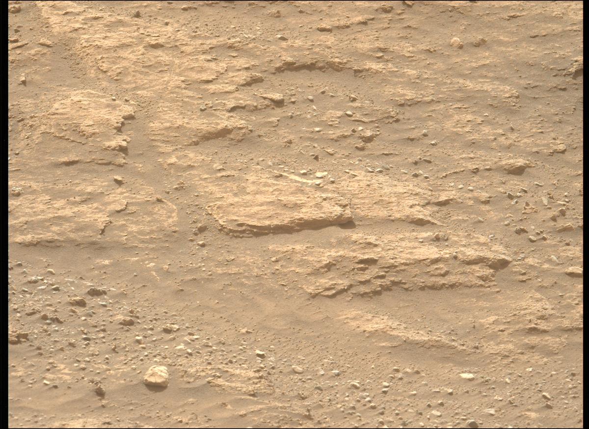 This image was taken by MCZ_LEFT onboard NASA's Mars rover Perseverance on Sol 1240