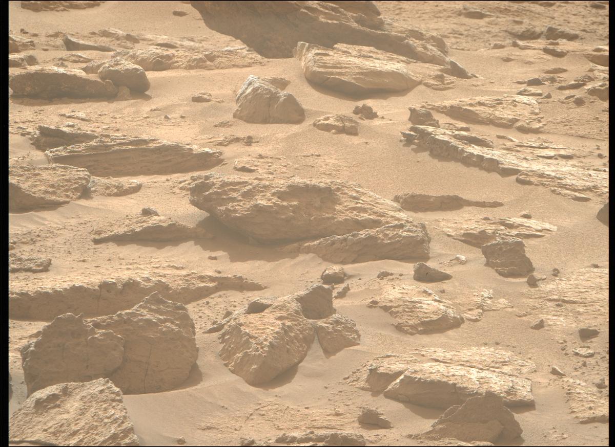 This image was taken by MCZ_RIGHT onboard NASA's Mars rover Perseverance on Sol 1240