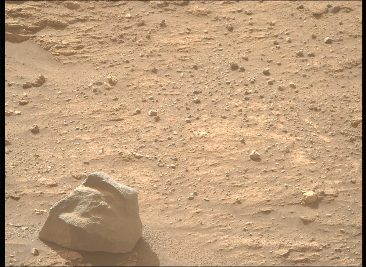 This image was taken by MCZ_RIGHT onboard NASA's Mars rover Perseverance on Sol 1240
