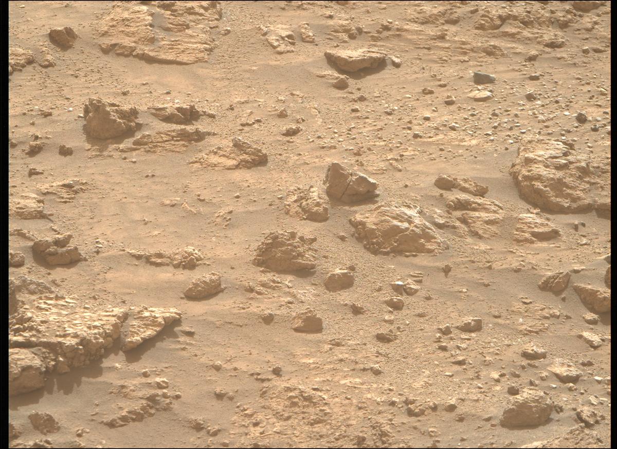 This image was taken by MCZ_RIGHT onboard NASA's Mars rover Perseverance on Sol 1240
