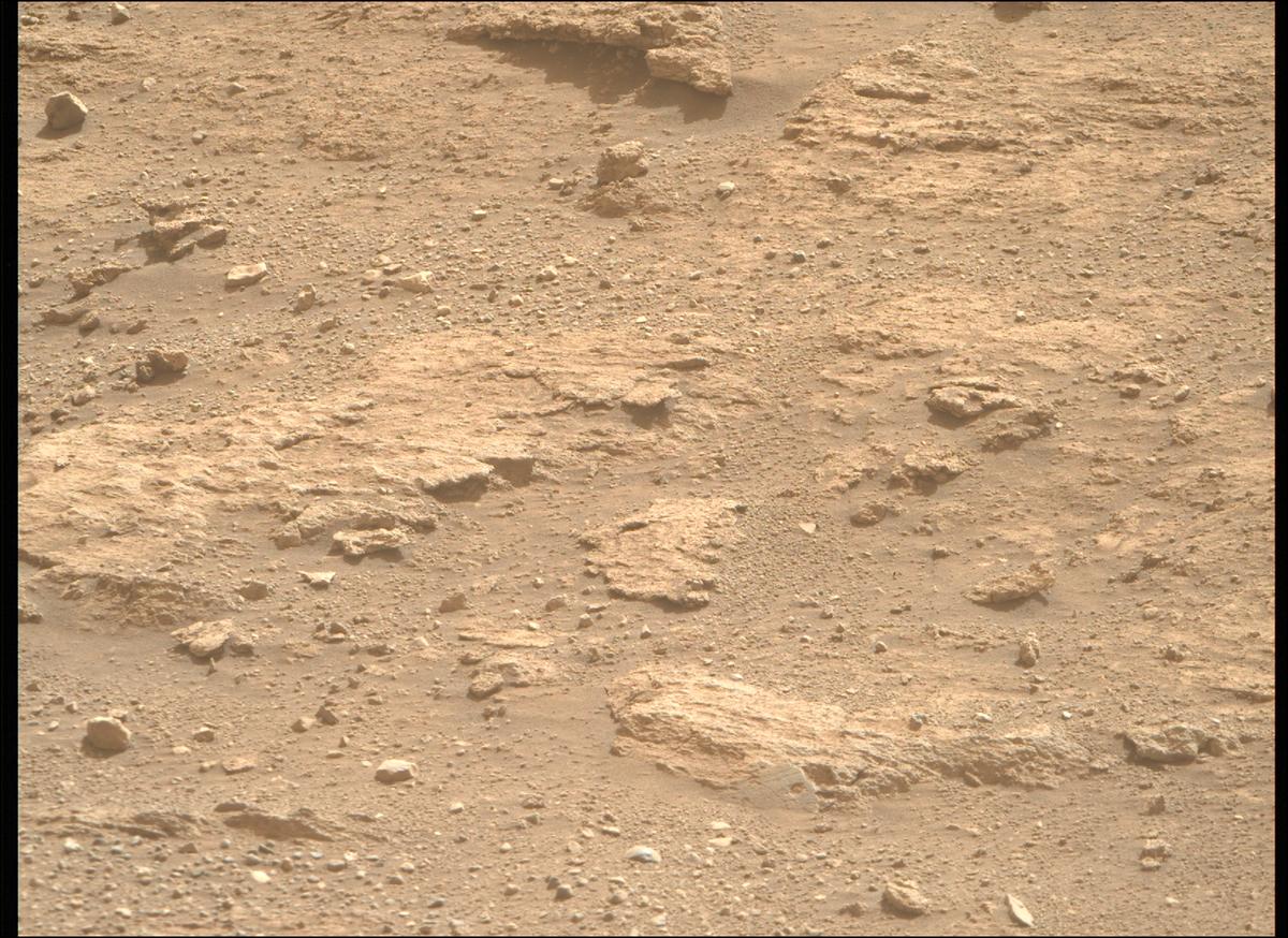 This image was taken by MCZ_RIGHT onboard NASA's Mars rover Perseverance on Sol 1240