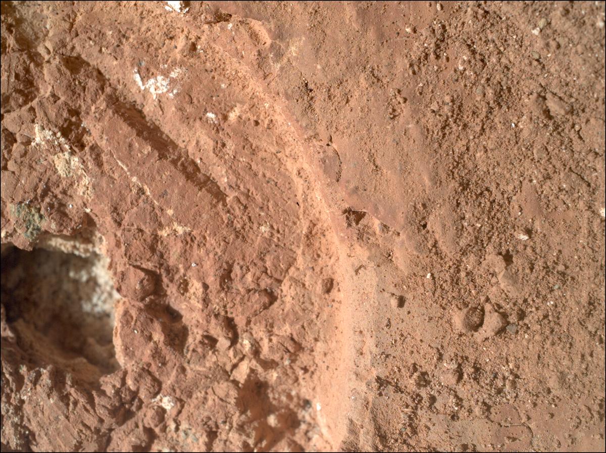 This image was taken by SHERLOC_WATSON onboard NASA's Mars rover Perseverance on Sol 1242