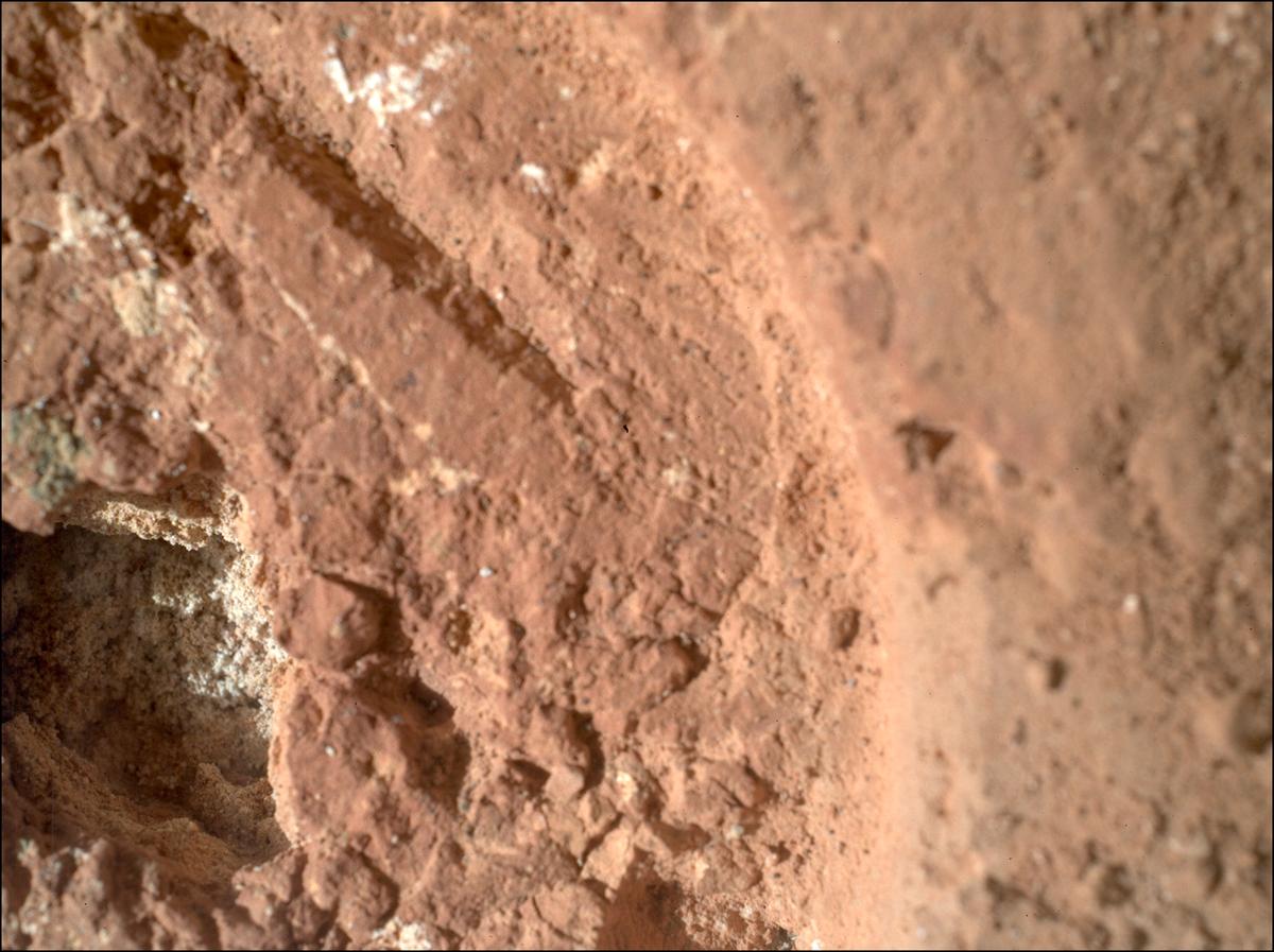 This image was taken by SHERLOC_WATSON onboard NASA's Mars rover Perseverance on Sol 1242
