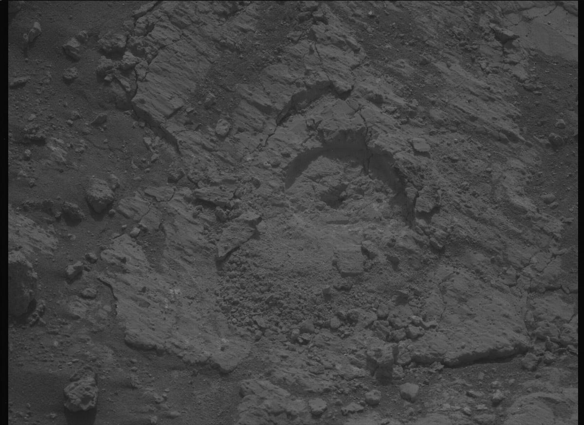 This image was taken by MCZ_LEFT onboard NASA's Mars rover Perseverance on Sol 1242