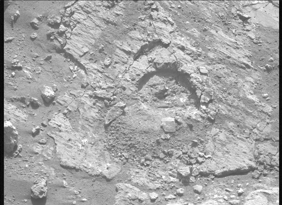 This image was taken by MCZ_LEFT onboard NASA's Mars rover Perseverance on Sol 1242