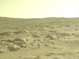 View image taken on Mars, Mars Perseverance Sol 1244: Left Navigation Camera (Navcam)