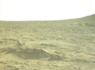 View image taken on Mars, Mars Perseverance Sol 1244: Left Navigation Camera (Navcam)