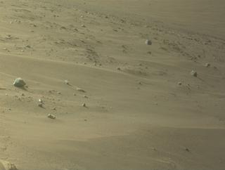 View image taken on Mars, Mars Perseverance Sol 1244: Right Navigation Camera (Navcam)