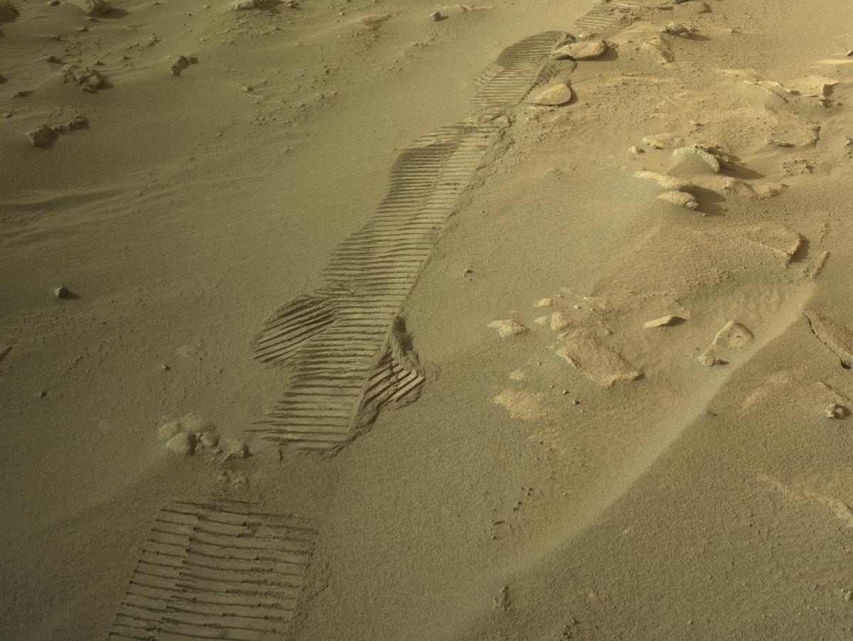 This image was taken by NAVCAM_RIGHT onboard NASA's Mars rover Perseverance on Sol 1244