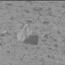 This image was taken by MCZ_LEFT onboard NASA's Mars rover Perseverance on Sol 1244