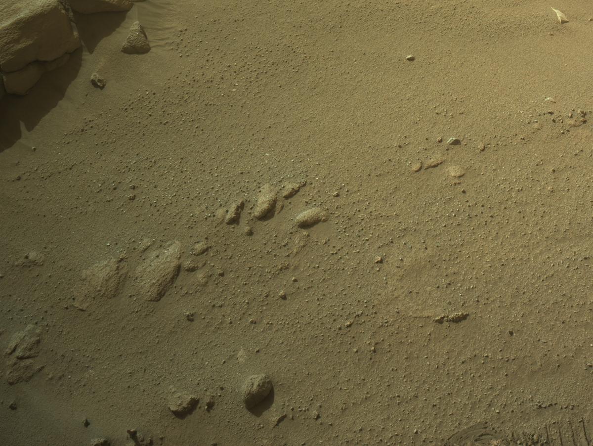 This image was taken by NAVCAM_LEFT onboard NASA's Mars rover Perseverance on Sol 1245