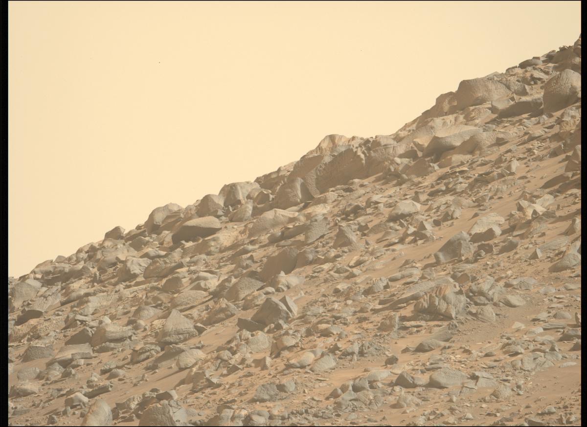 This image was taken by MCZ_LEFT onboard NASA's Mars rover Perseverance on Sol 1245