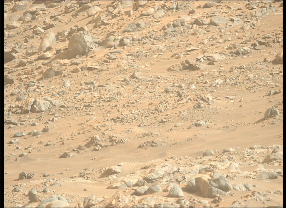 This image was taken by MCZ_LEFT onboard NASA's Mars rover Perseverance on Sol 1245