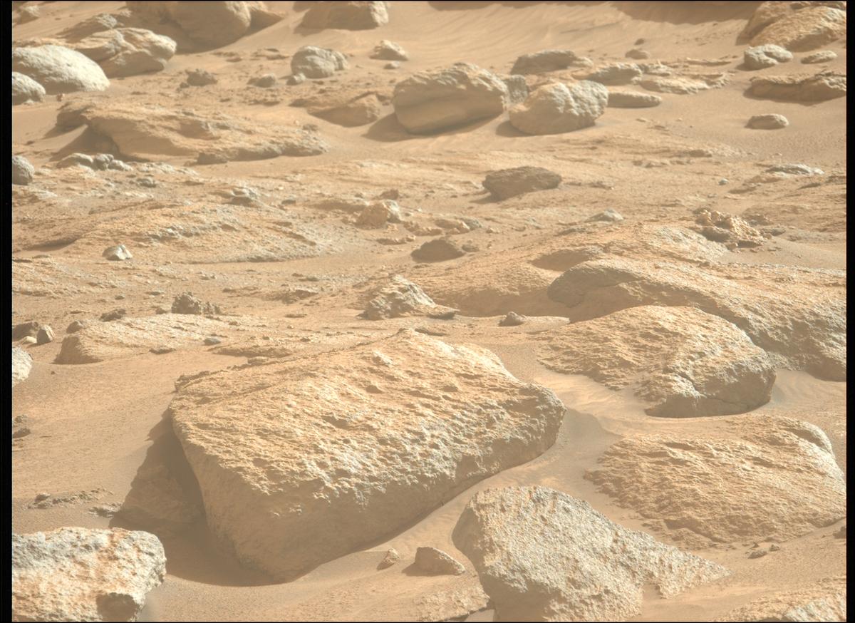 This image was taken by MCZ_LEFT onboard NASA's Mars rover Perseverance on Sol 1245