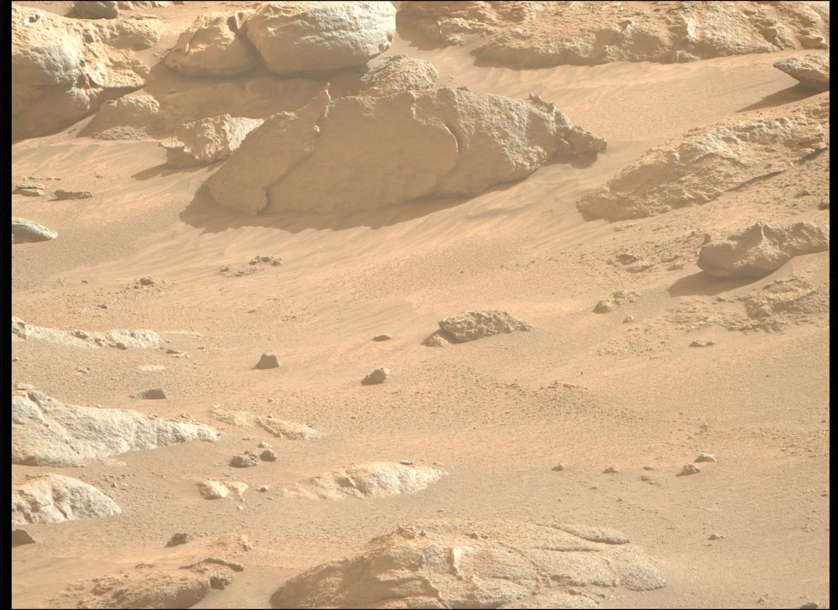 This image was taken by MCZ_RIGHT onboard NASA's Mars rover Perseverance on Sol 1245