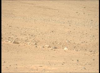 View image taken on Mars, Mars Perseverance Sol 1246: Left Mastcam-Z Camera