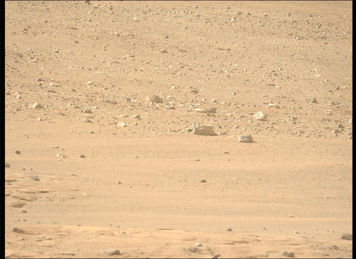 This image was taken by MCZ_LEFT onboard NASA's Mars rover Perseverance on Sol 1246