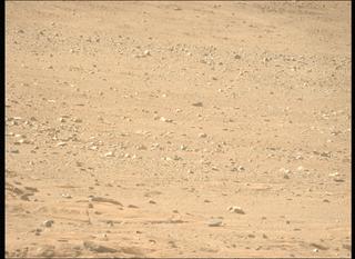 View image taken on Mars, Mars Perseverance Sol 1246: Left Mastcam-Z Camera