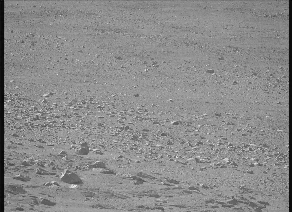 This image was taken by MCZ_LEFT onboard NASA's Mars rover Perseverance on Sol 1246
