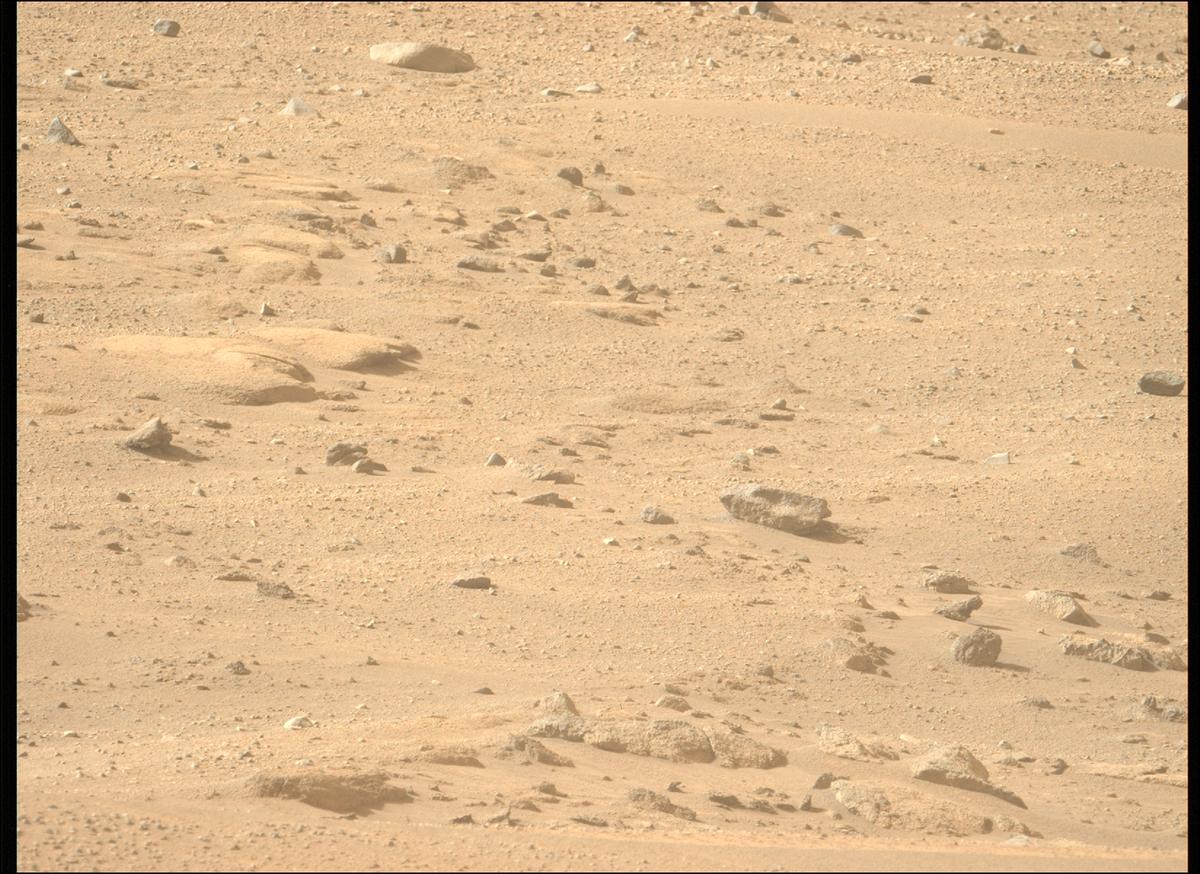 This image was taken by MCZ_LEFT onboard NASA's Mars rover Perseverance on Sol 1246